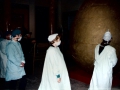 hatching 5.jpg