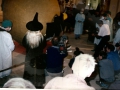 hatching 8.jpg